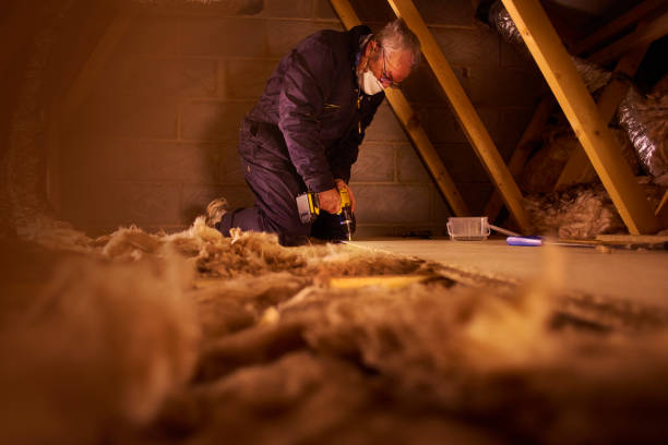Best Cellulose Insulation in Siler City, NC