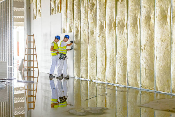 Best Geographic-Specific Insulation Services in Siler City, NC